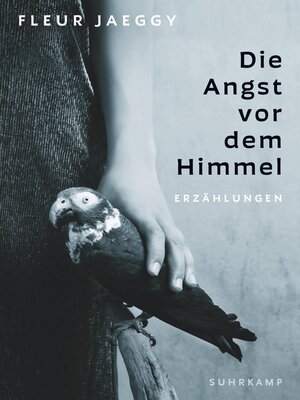 cover image of Die Angst vor dem Himmel